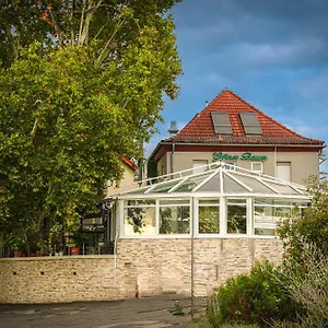 https://zum-grunen-baum.hotelsheidelberg.net